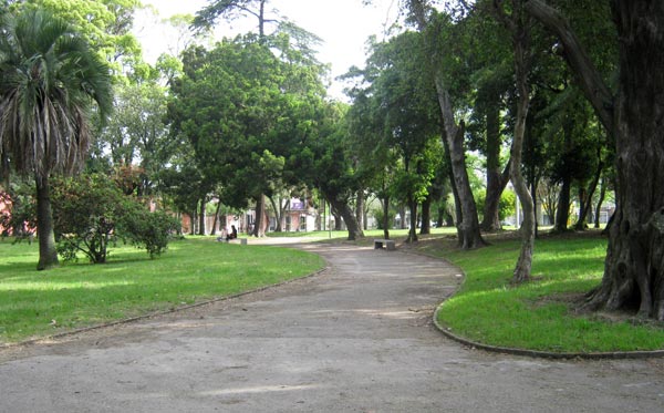 prado chico