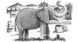 https://almanaqueept.org/wp-content/uploads/2019/09/48-El-elefante-encadenado-2-300x162.jpg